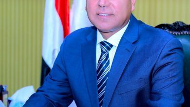كامل الوزير- وزير النقل والمواصلات