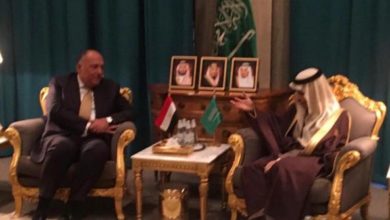 لقاء سامح شكري ونظيره السعودي