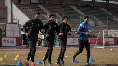 محمد الشناوي