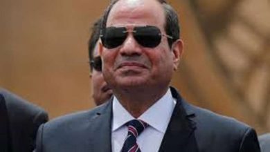 الرئيس عبدالفتاح السيسي
