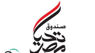 صندوق تحيا مصر- صورة أرشيفية
