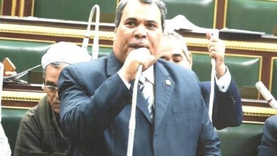 نائب قنا- سعيد الدويك
