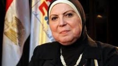 نيفين جامع، وزيرة التجارة