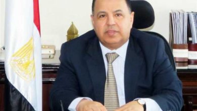 وزير المالية