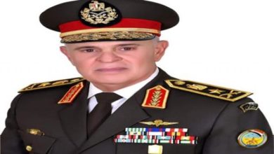 الفريق محمد فريد