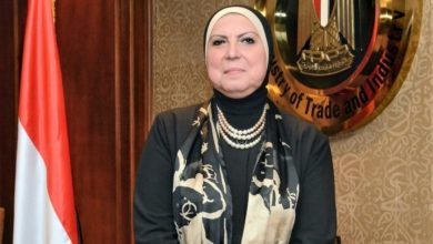 نيفين جامع وزيرة التجارة والصناعة