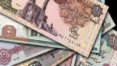 الجنيه المصري