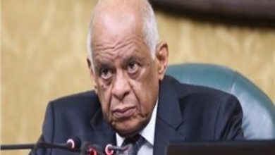 علي عبدالعال- رئيس النواب