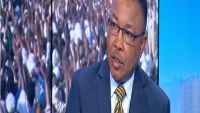 وزير الدولة بوزارة الخارجية السودانية عمر قمرالدين