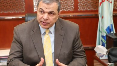وزير القوي العاملة محمد سعفان