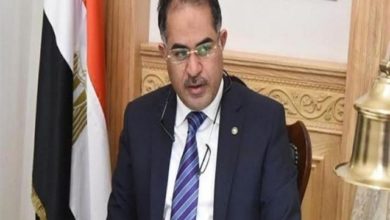 سليمان وهدان- وكيل البرلمان