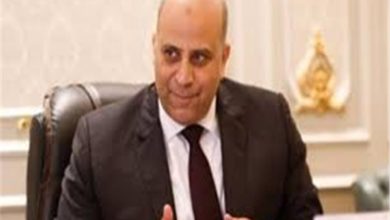النائب- عمرو غلاب