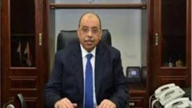 وزير التنمية المحلية