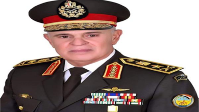 الفريق محمد فريد