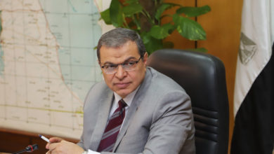 محمد سعفان - وزير القوى العاملة