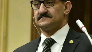 النائب- محمد الغول