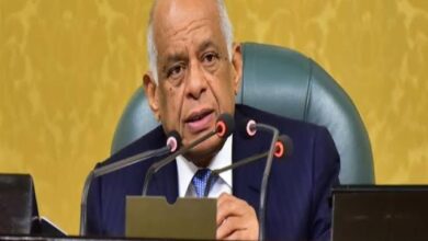 علي عبدالعال- رئيس البرلمان