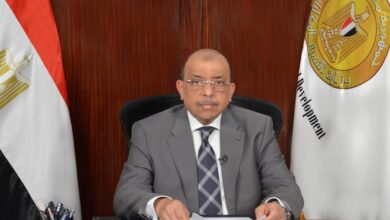 محمود شعراوي- وزير التنمية المحلية