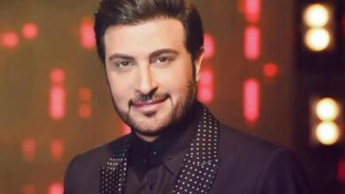 الفنان- ماجد المهندس