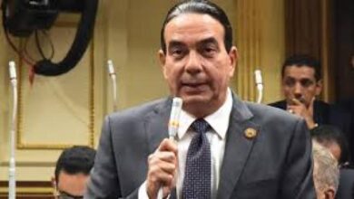 أيمن أبو العلا- عضو مجلس النواب