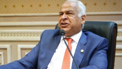 النائب-فرج عامر
