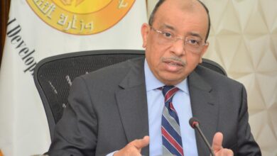 محمود شعراوي-وزير التنمية المحلية