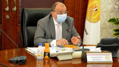 محمود شعراوي- وزير التنمية المحلية