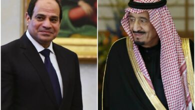 الرئيس السيسي وخادم الحرمين