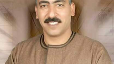 مرشح النواب- زين طايع
