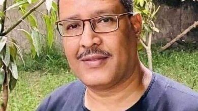 نائب الشيوخ- محمد عطا الله إسماعيل