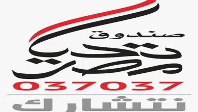 صندوق تحيا مصر- صورة أرشيفية