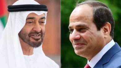السيسي ونظيره الإماراتي- صورة أرشيفية