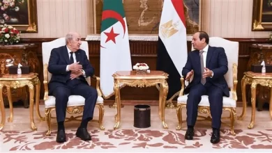 الرئيس السيسي ونظيره الجزائري