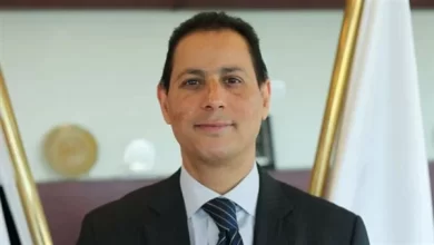 محمد عمران- رئيس هيئة الرقابة المالية