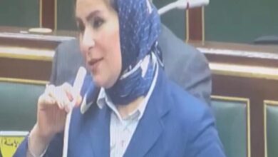 نيفين الكاتب- عضو البرلمان المصري