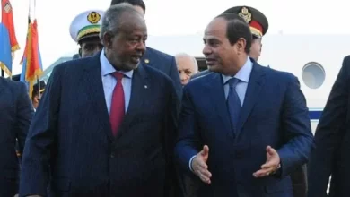الرئيس السيسي ونظيره الجيبوتي