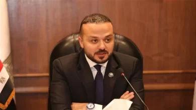 محمد الجارحي- عضو مجلس النواب
