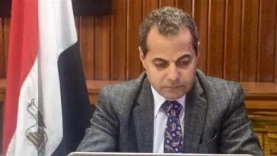 ممثل مصر في الاجتماع