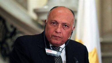 وزير الخارجية- سامح شكري