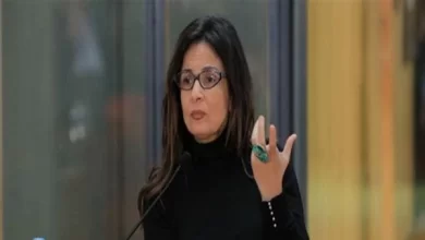 النائبة-جيهان ذكي