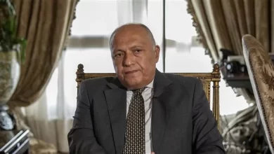 سامح شكري- وزير الخارجية