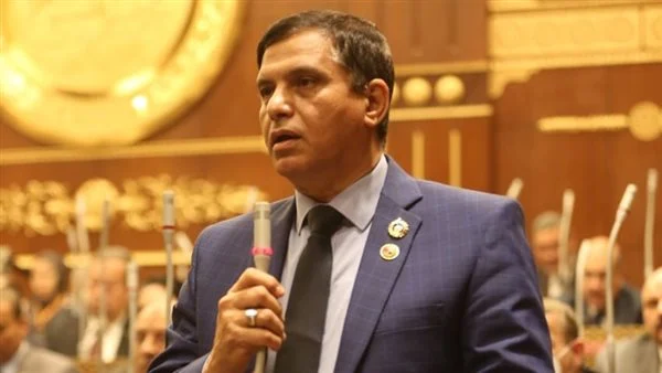 طارق نصير- نائب بمجلس الشيوخ