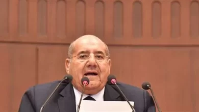 المستشار عبد الوهاب عبد الرازق- رئيس مجلس الشيوخ