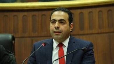 رئيس لجنة الشباب والرياضة بمجلس النواب