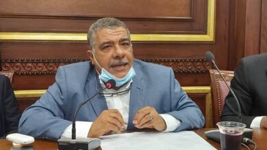 معتز محمد محمود- رئيس لجنة الصناعة