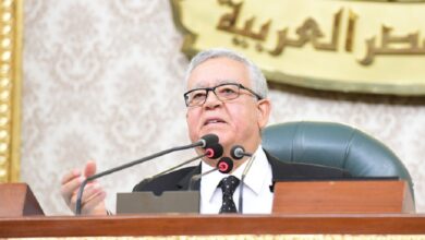 المستشار حنفي جبالي-رئيس مجلس النواب