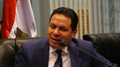 هشام الحصري- رئيس لجنة الزراعة بمجلس النواب