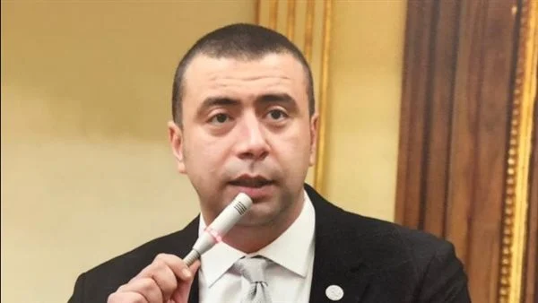 أحمد بهاء شلبي- رئيس الهيئة البرلمانية لحزب حُماة الوطن