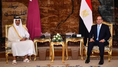 جانب من لقاء الرئيس وأمير قطر