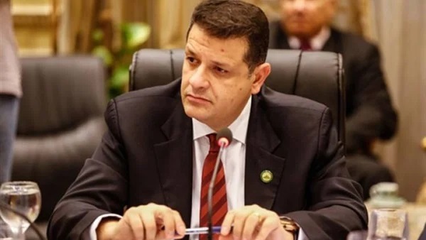 طارق رضوان- رئيس لجنة حقوق الإنسان بمجلس النواب
